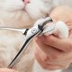 thumbnail image 1 of Cortaúñas Para Gatos, Agarre Cómodo Que Reduce El Estrés, Cortauñas Para Mascotas De Acero Inoxidable Seguro Para Perros Y Gatos Pequeños Y Medianos, 1 of 7