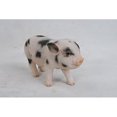 thumbnail image 1 of Hi-Line Gift Ltd Bébé Cochon Debout avec Taches Noires, 1 of 4