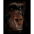 thumbnail image 2 of Royal & Langnickel(R) Copper Foil Engraving Art Kit 8"X10"-The Wise Simian - COPRFL-32, 2 of 2