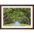 thumbnail image 2 of Savannah, Georgia, USA Oak Tree Lined Road at Historic Wormsloe Plantation. Framed Photographic Print by SeanPavonePhoto, 36" x 24", Sold by Art.com, 2 of 5