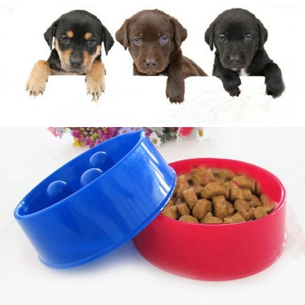 Anti Slip Pet Dog Cat Slow Feeder Bowl Puppy Choke Gulp Feed