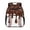 Ice Cream Print, variant on Aplkyhs Cute Ocean Seal Backpack for Kids Teens Age 6-18 Cute Cartoon Print School Bag Ergonomic Adjustable Straps Lightweight Bookbag for School Travel