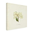 thumbnail image 2 of Emma Caroline 'Cornales Hydrangea I' Canvas Art, 2 of 3