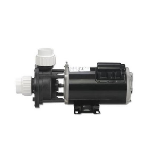 2 hp Flo-Master XP2 Series Pump, 230V - Dual