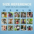thumbnail image 4 of Best Pet Supplies Voyager Step-In Flex Adjustable Mesh Dog Harness, 4 of 9