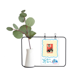thumbnail image 1 of China Model red Education Promotion Jarrones colgantes de vidrio transparente Decoración Botella, 1 of 4