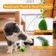 thumbnail image 4 of Interactive Cat Toy with Cat Wand - Interactive Feather Toy - Interactive Toy for Indoor Kitten, 4 of 4