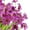 Purple, variant on JEMONG 12 Pack Artificial Flowers Outdoor UV Resistant Fake Flowers Faux Plants Garden Porch Window Box Decorating Violet Red