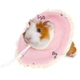thumbnail image 4 of Cercle Elizabeth pour Animaux de Compagnie, Anneau de Protection Durable pour Cochons d'Inde pour Lapins, 4 of 8