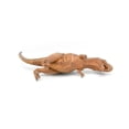 thumbnail image 6 of Tyrannosaurus, T- Rex Dinosaur, Figure, Model, Figurine, Educational, Animal, Kids, Gift Toy Plastic Replica,      14"        CWG162 BB38, 6 of 7