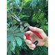 thumbnail image 4 of Bonsai Plant Flower Pruner, 100% Stainless Garden Spruce (gpps-1008). Colibri Florist And Gardening Scissors, 4 of 5