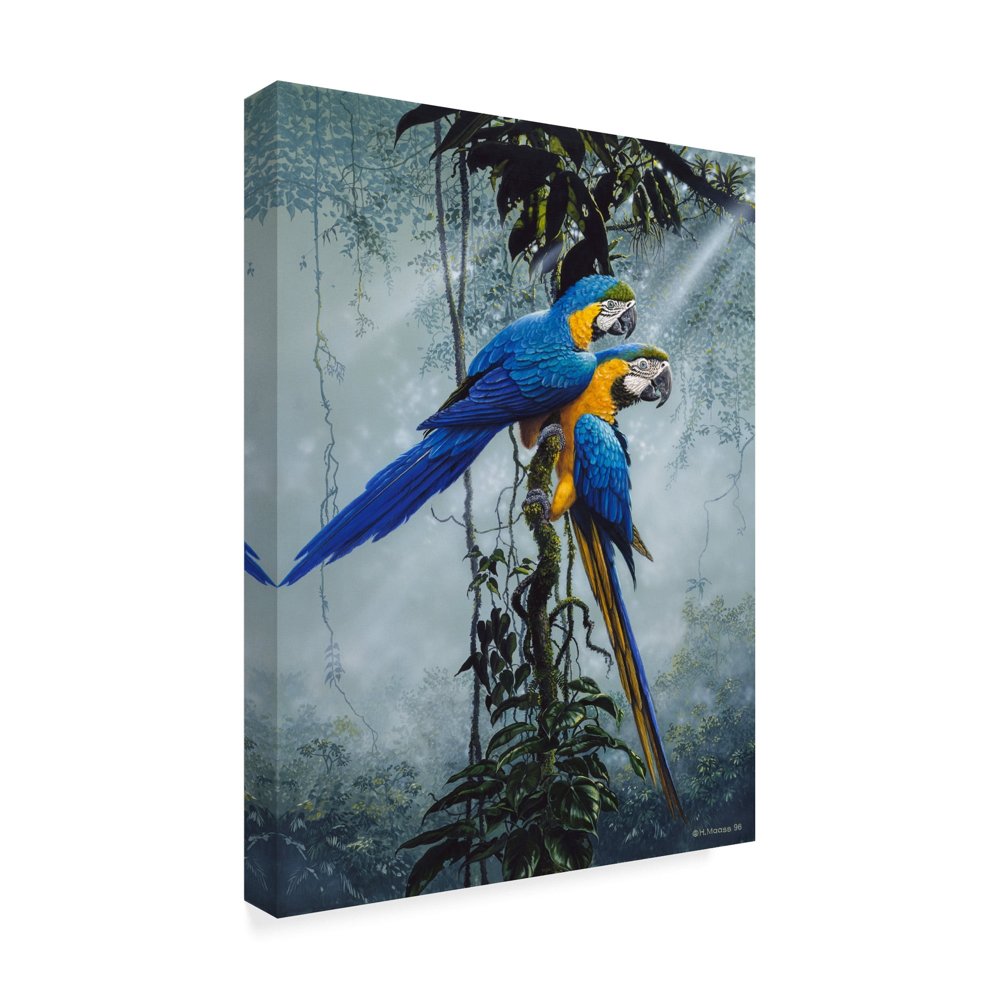 Trademark Fine Art 'Blue And Yellow Macaws 2' Canvas Art by Harro Maass