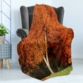 thumbnail image 4 of Autumn Soft Flannel Fleece Throw Blanket, Tree Photo in Tangerine Tones Foliage, Cozy Plush for Indoor and Outdoor Use, 60" x 80", Burnt Orange Olive Green, by Ambesonne, 4 of 5