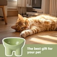 thumbnail image 7 of Elevated Tilted Pet Bowl, Ergonomic Raised Feeding Dish For Small Dogs And Cats, Non-Slip Tilted Food And Water Bowl, 7 of 7