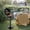Black-with Stand, variant on BAYUELSWU Electric BBQ Grill, 1600W Tabletop Electric Barbecue Grill with Stand Portable for Camping, Party (Black)