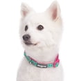 thumbnail image 3 of 10+ Patterns Forest Fun Dog Collars, 3 of 5