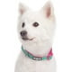 thumbnail image 3 of Collar para perro acolchado de neopreno a cuadros escoceses con un diseño suave y cómodo MFZFUKR CPB-US-YY197-4, 3 of 5