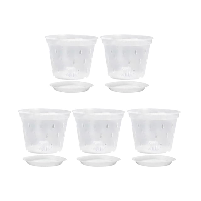 Macetas para orquídeas con agujeros, maceta para flores, maceta de jardinería, maceta transparente con agujeros, para cocina, jardín y dormitorio Con platillo de 5 pulgadas
