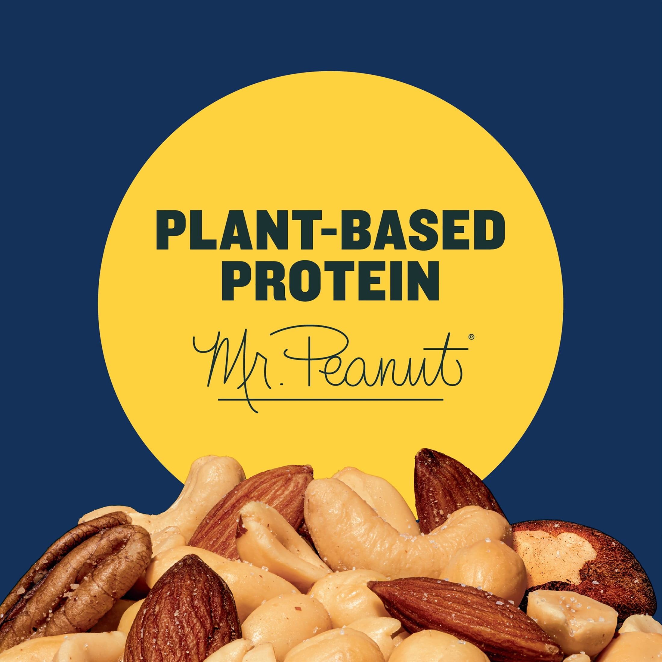 (12 pack) PLANTERS Salted Mixed Nuts, Party Snacks, 6g (7% DV) Plant-Based Protein, 10.3 oz Can