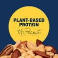 thumbnail image 4 of PLANTERS Salted Mixed Nuts, Party Snacks, 6g (7% DV) Plant-Based Protein, 10.3 oz Can, 4 of 13