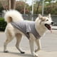 thumbnail image 1 of Zhuge Chaleco para perros y gatos, chaleco transpirable para mascotas, sudadera para cachorros, ropa para perros, abrigos para perros pequeños, medianos y gatos, XS, A31, 1 of 4