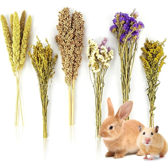Natural Small Animal Bedding Spray Habitat Decor