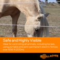 thumbnail image 4 of Gallagher G62174 0,13 X 656 Pies Ultra White Turbo Equibraid, 4 of 5