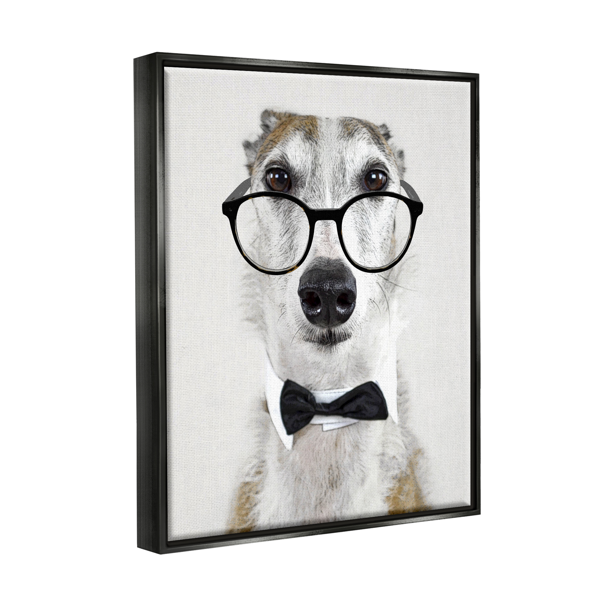 Stupell Funny Dog Formal Bowtie Glasses Animals & Insects Painting Black Floater Framed Art Print Wall Art