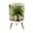Color 4, variant on Coastal Small Trash Can with Lid Blue Ocean Under Sea Fish Turtle Dreamlike 1.8 Gallon Dog Proof Trash Can Round Garbage Can Waste Bin Wastebasket for Bathroom Bedroom Living Room
