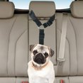 thumbnail image 1 of Cinturón de seguridad para coche para perros, correa ajustable para vehículo, Collar, accesorios para mascotas (negro), 1 of 7