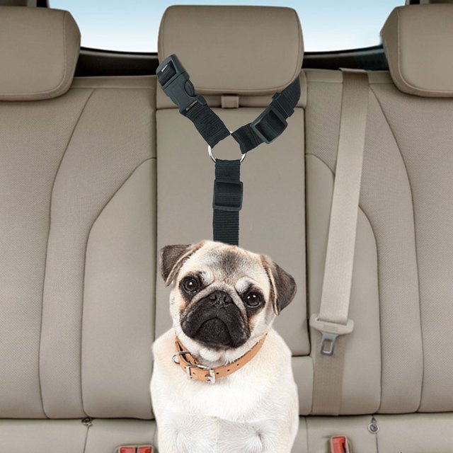 Cinturón de seguridad para coche para perros, correa ajustable para vehículo, Collar, accesorios para mascotas (negro)
