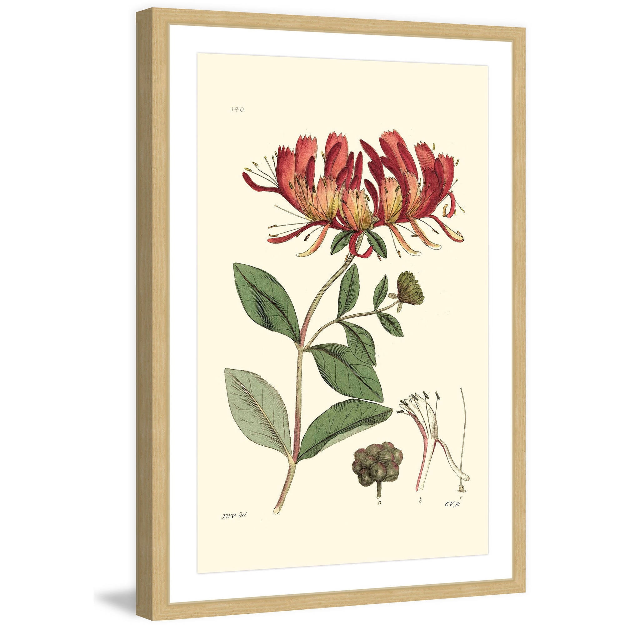 "Antique Floral II" Framed Painting Print