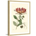 thumbnail image 2 of "Antique Floral II" Framed Painting Print, 2 of 6