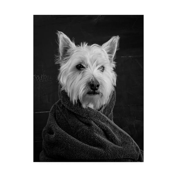 Trademark Fine Art 'Portrait of a Westy Dog' Canvas Art by Edward M. Fieldin