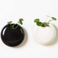 thumbnail image 1 of Set Of 2 Mini Wall-mounted Ceramic Flower Pots White / Black, 1 of 5