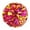 5, variant on Cheerleading Pom Poms,20 Colors 2pcs Cheerleading Pom Poms Party Dance Accessory Sports Pompoms Cheer ,Cheerleading Poms