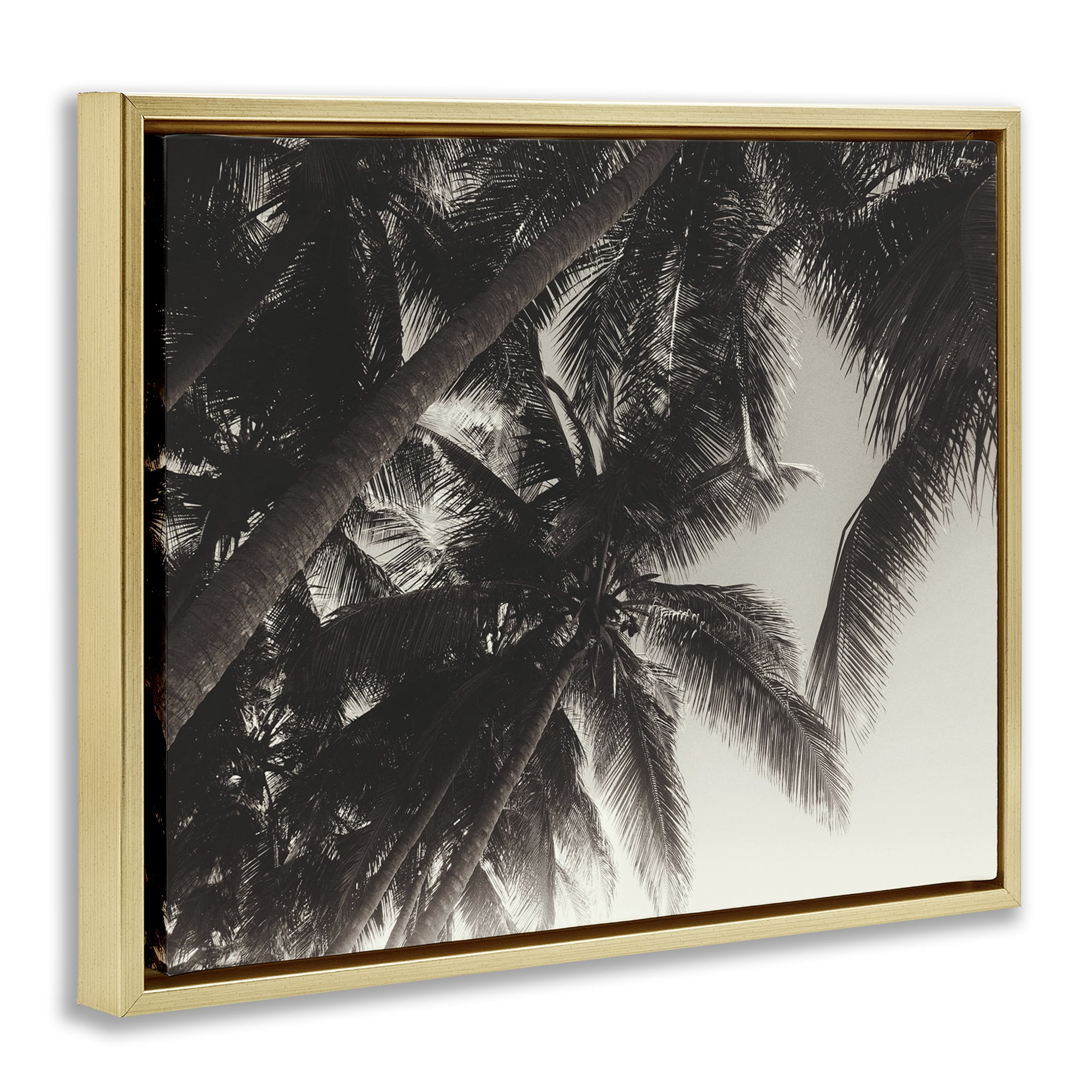 Stupell Industries Dark Palm Leaves Botanical & Floral Photography Gold Floater Framed Canvas Art Print Wall Art, 21 x 17