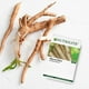 thumbnail image 3 of Suplemento Fibra En Polvo 30 Sobres Nutrilite Amway Amway Soluble, 3 of 4