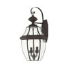 Livex Lighting Monterey 2-Light Brass Outdoor Wall Lantern in Bronze