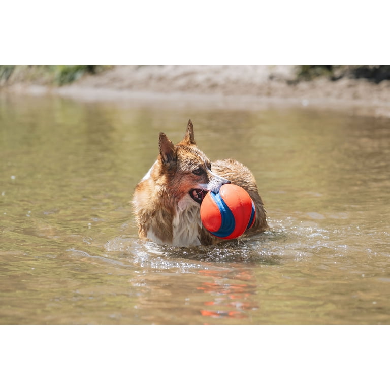 Chuckit! Kick Fetch Canvas Ball, Small 5.5" for Small Dogs photo 6