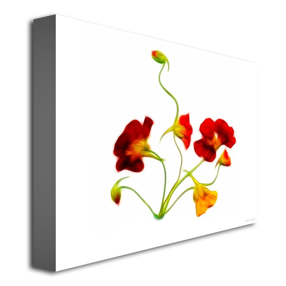Trademark Art "Orange and Yellow Nasturtiums" Canvas Art by Kathie McCurdy