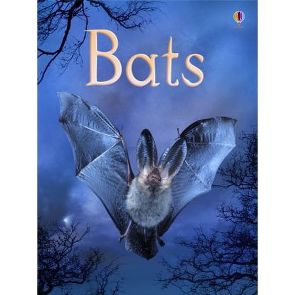 Pre-Owned Bats (Usborne Beginners Nature) (Hardcover) 0794525415 9780794525415