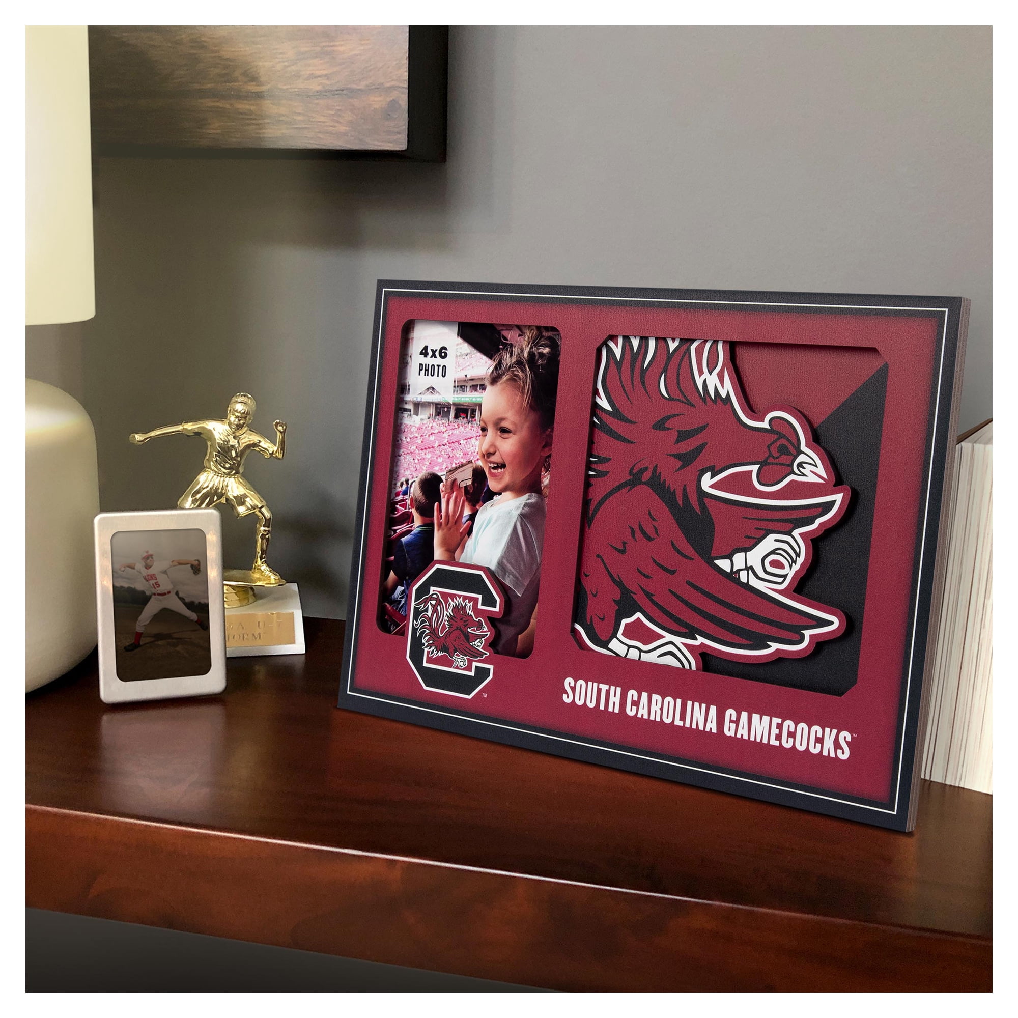 IDNA South Carolina Gamecocks 3D Logo Series Picture Frame