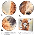 thumbnail image 3 of Designart Alpacas framed wall art decor, Alpacasframed wall art, Alpaca in Graceful Pose I , Extra large Modern Gold framed wall art, 44x34 inches Gold Frame, 3 of 5