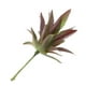 thumbnail image 5 of Plantas suculentas artificiales, hierba de loto, agave, plantas decorativas realistas n. degree 18, 5 of 9