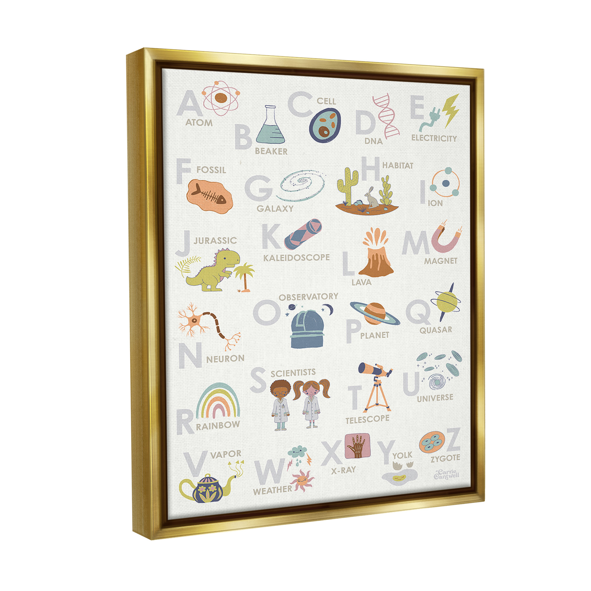 Stupell Industries Science Theme Alphabet Typography Painting Gold Floater Framed Canvas Art Print Wall Art, 25 x 31