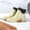 White, variant on Women's Waterproof Rain Boots, Comfortable Pull-On Booties for Outdoor Walking