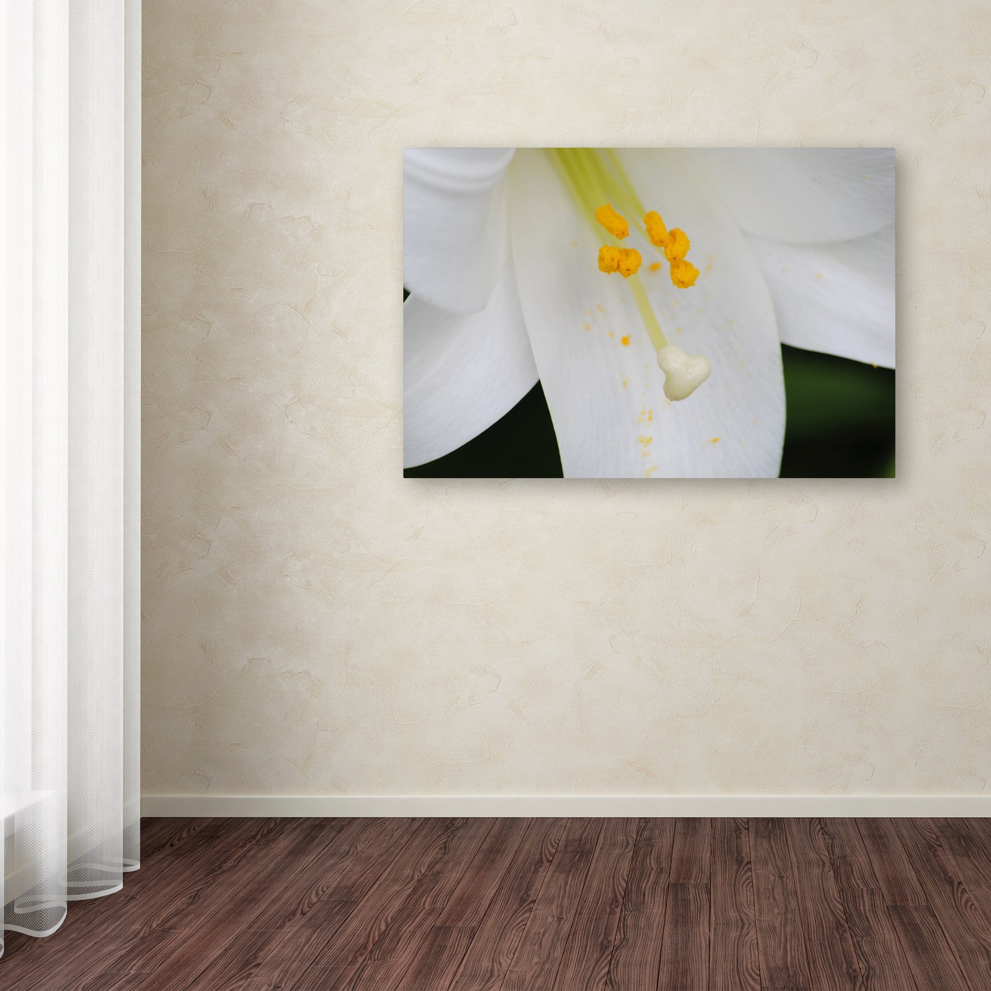Trademark Fine Art "Adore You" Canvas Art by Monica Mize