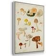 thumbnail image 3 of Mushroom Species X - Framed Premium Gallery Wrapped Canvas L Frame 3 Piece Set - Ready to Hang, 3 of 9