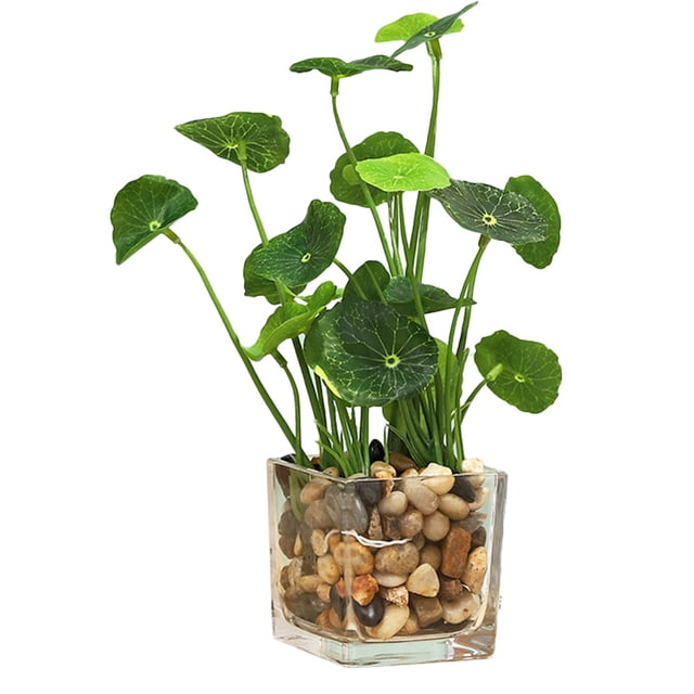 Plantas verdes artificiales Laklulu sobre escritorio y frasco de vidrio transparente.